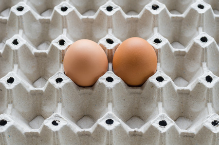 Close-up raw chicken eggs in egg box