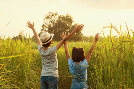 cute two girl happy freedom at rice field with sunsetの写真素材
