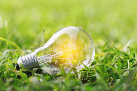 concept eco light bulb on green grass with idea saving power energyの写真素材