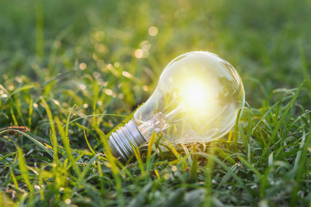 concept eco. close up lightbulb on green grass with sunset and bokeh backgroundの写真素材