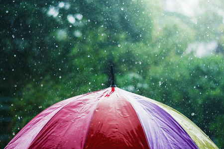 rain drop falling onto colorful umbrella  and green backgroundの写真素材