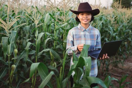 Technician farmer use laptop computer checking corn in farm. technology agriculture coneptの写真素材