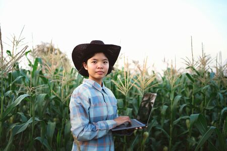 young woman standing use laptop checking corn in farm. technology agriculture coneptの写真素材