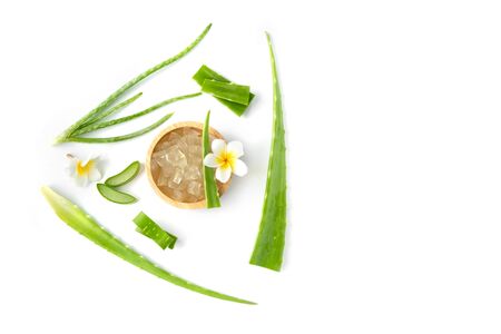 top view fresh aloe vera with slice and flower  isolate on white backgroundの写真素材