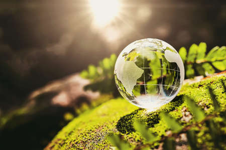 crystal globe glass resting on moss stone with sunshine in nature forset. eco  environment conceptの写真素材