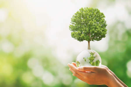 hand holding glass globe ball with tree growing and green nature blur background. eco conceptの写真素材