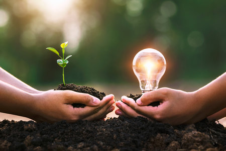hand holding young plant and ligh bulb. concept saving energy. eco earth dayの写真素材
