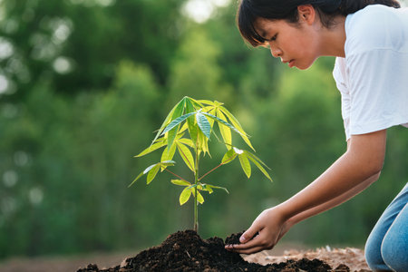 woman planting tree in garden. concept eco earth dayの写真素材