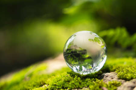 rystal globe glass resting on moss stone with sunshine in nature forset. eco  environment conceptの写真素材