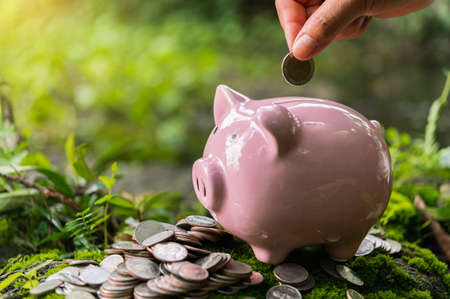 hand putting coins in to piggy bank for saving money. concept finance and accountingの写真素材