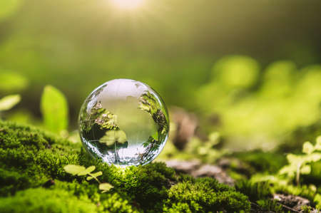 crystal globe glass resting on moss stone with sunshine in nature forset. eco  environment conceptの写真素材