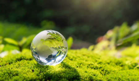 crystal globe glass resting on moss stone with sunshine in nature forset. eco  environment conceptの写真素材