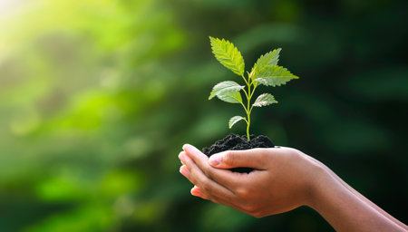 hand holding young plant on blur green nature background. concept eco earth dayの写真素材