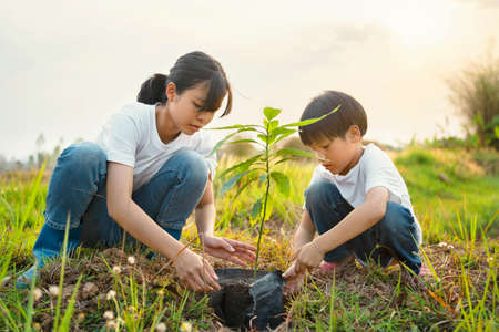 children helping planting tree in garden for save world. eco environment conceptの写真素材
