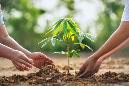 mother with children helping planting tree in nature for save earth. environment eco conceptの写真素材