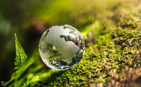 globe glass on grass with sunshine. environment concept