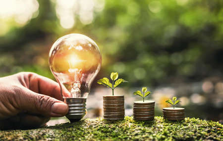 hand holding light bulb on green grass with young plant growing on coins stack. saving power energy and save moneyの写真素材
