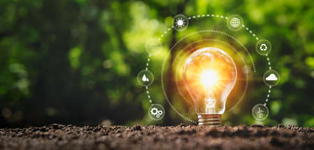 light bulb in nature with icon eco. concept clean energy save earth