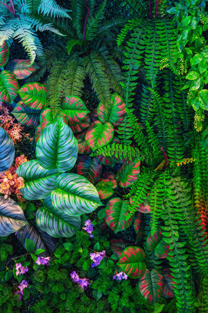 green leaf  background texture backgroundの写真素材
