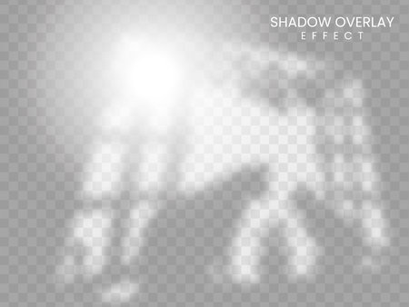 Shadows soft overlay effects transparent on white wall set for presentation. Horizontal format mock-ups. Scenes of natural lighting. Realistic vector illustration Window and jalousie frames monochromeのイラスト素材