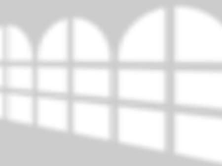 Shadows soft overlay effects transparent on white wall set for presentation. Horizontal format mock-ups. Scenes of natural lighting. Realistic vector illustration Window and jalousie frames monochromeのイラスト素材