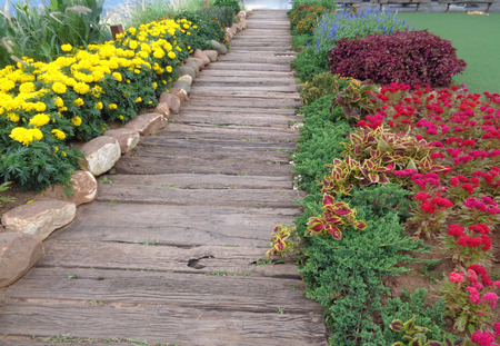 Colorful Flower Bed along the Wooden Walkwayの写真素材