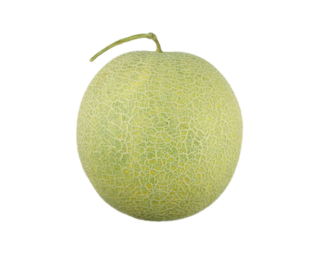 Green muskmelon with stem isolated on white background, close upの写真素材