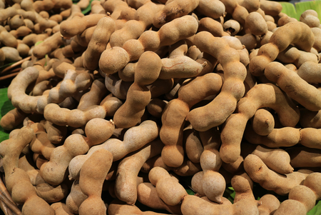 Heap of ripe Tamarind fruits, tropical tasty healthy fruits in Thailandの写真素材