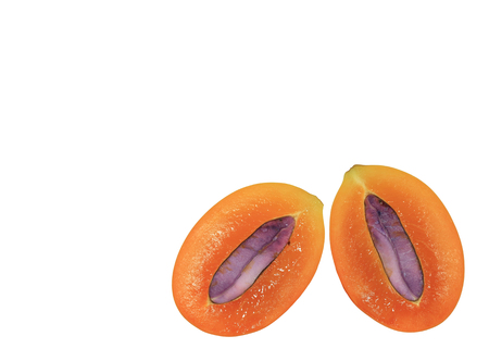 Closed up bright orange color fresh ripe Marian Plum fruit cut in half with purple seed on white...