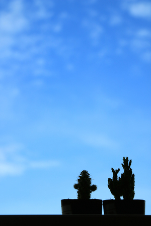 Silhouette of two mini cactus against vivid blue sky, blurred background with free space for design and textの写真素材