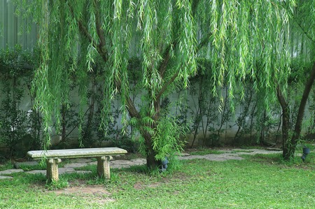 Stone Bench in the Vibrant Green Public Garden of Bangkok, Thailandの写真素材