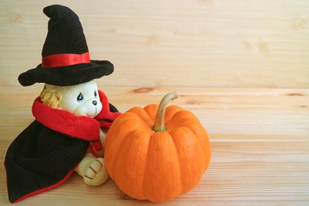 Cute and Minimalist Halloween Decor with Lion Toy in Wizard Costume and Orange Color Ripe Pumpkin on Wooden Backgroundの写真素材