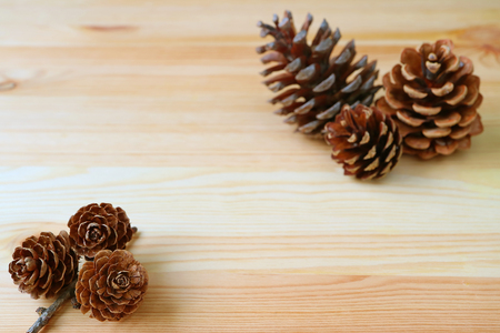 Natural Dry Rose-shape Mini Pine Cones and another Dry Pine Cones in Background, Isolated on Wooden Table with Copy Spaceの写真素材