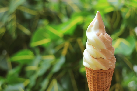 Close-up of Melting Vanilla and Chocolate Flavors Soft Serve Ice Cream Cone with Blurred Green Foliage in Backgroundの写真素材