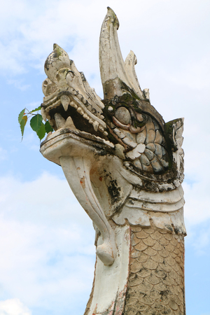 Small Plants Growing in the Mouth of Naga Sculpture in Wat Phumin Buddhist Temple, Historic Place in Nan Province, Northern Thailandの写真素材