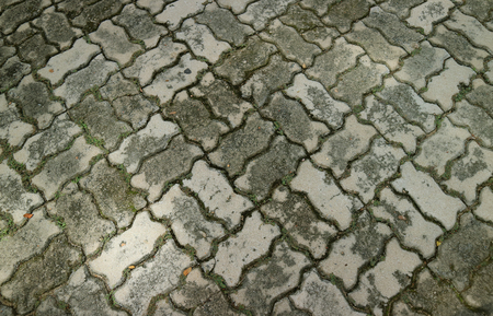 Grey concrete block paved walkway in gentle sunlightの写真素材
