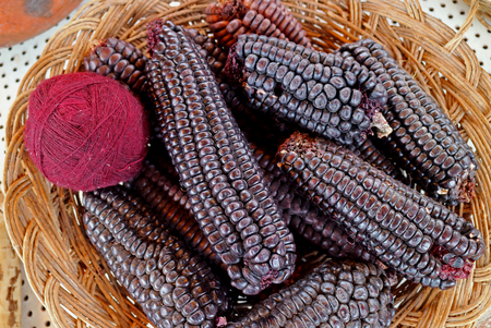 Magenta Purple Peruvian Alpaca Wool Yarn Balls Dyed from Purple Corn at Chinchero, the Andes Village...