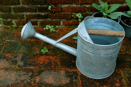One galvanized watering can on the garden brick floorの写真素材