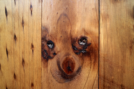Amazing Puppy Look a Like Natural Pattern of the Wooden Outer Wall in Oasis Town of Northern Chileの写真素材