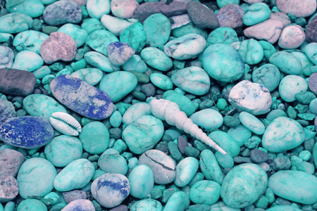 Pebble Stones Path with Tiny Seashells on the Beach in Pastel Blue Toneの写真素材