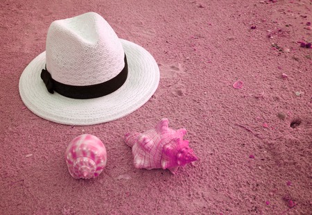 White straw hat on the sand beach with two types of seashells in pink color