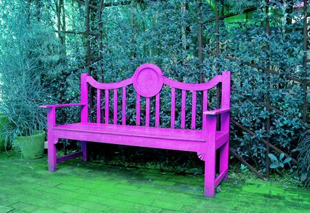 Pop Art Style Vivid Pink Wooden Bench in Turquoise Blue Colored Gardenの写真素材