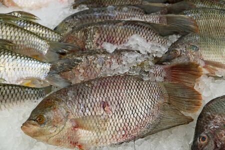 Heap of Fresh Tilapia Fishes on Ice at the Market
