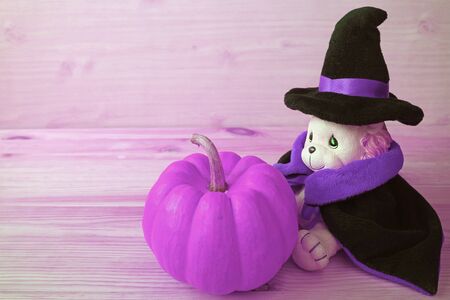 Fancy Purple Colored Pumpkin and Cute Lion Toy in Halloween Wizard Costume with Copy Spaceの写真素材
