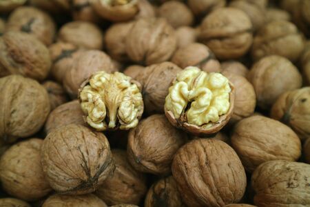Closeup Raw Walnut's Kernels on the Pile of Walnuts with Nutshells