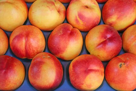 Row of Vibrant Red Organic Nectarine Fruits For Sale at the Marketの写真素材