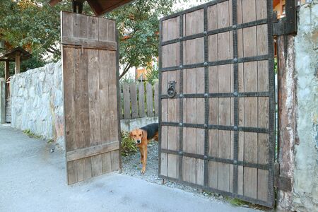 Dog Inside the Fence of a Country House