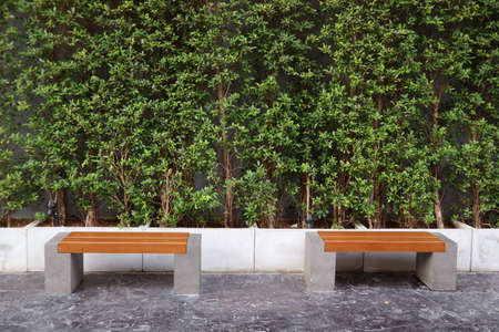 Pair of empty distancing benches in front of green hedge plants in a park