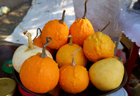 Pile of vivid yellow and orange color pumpkins selling at the marketの写真素材
