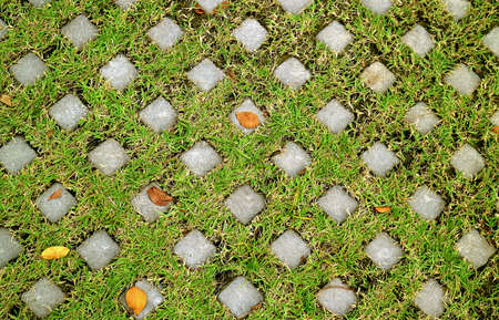 Turf Stone Paver with Green Grasses and Fallen Leaves